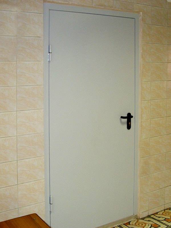 Однопольная пожаростойкая дверь серого цвета Однопольная пожаростойкая дверь серого цвета